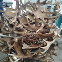 Миниатюра для главного изображения объявления